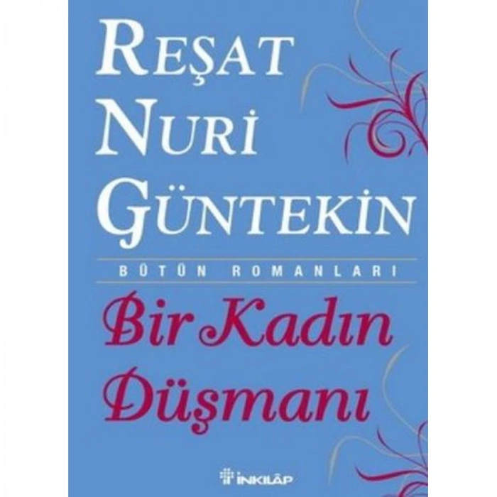 BİR KADIN DÜŞMANI