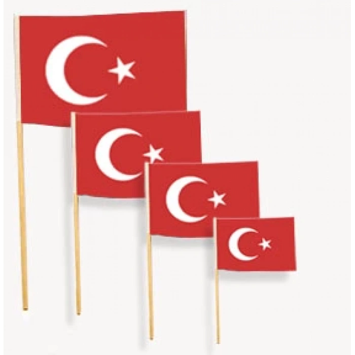 TEKNOPOİNT SOPALI TÜRK BAYRAĞI KÜÇÜK BOY 12x20cm - TEKLİ