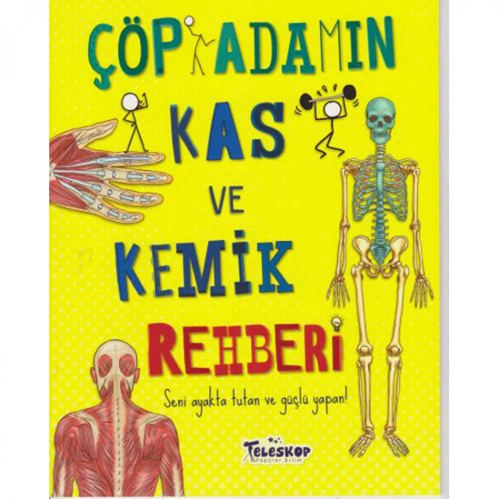 ÇÖP ADAMIN KAS VE KEMİK REHBERİ