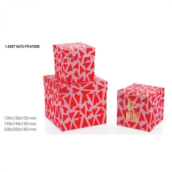 GIPTA SİNTA KÜP KARE HEDİYE KUTUSU BX0665-C 200x200x185 mm