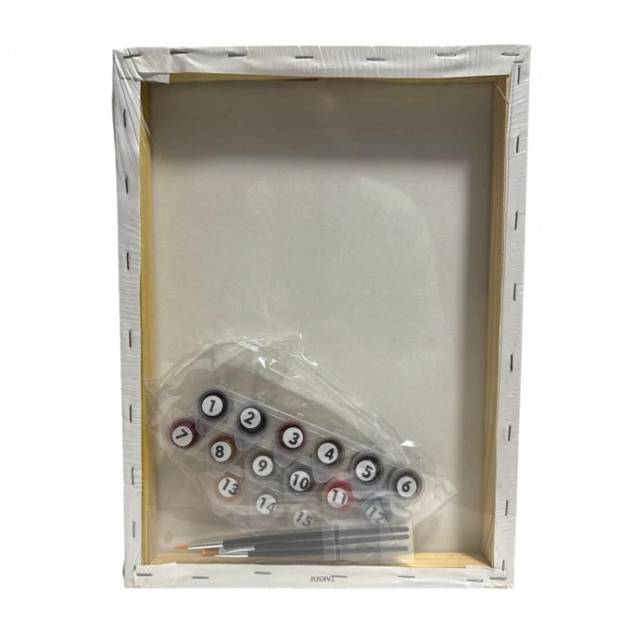 MİART MSB30419 30X40 SAYILARLA BOYAMA TUVAL - TAKSİM