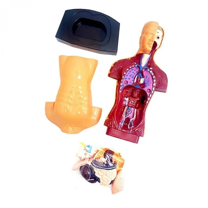 KIZILKAYA KZL-3301 KUTULU İNSAN VÜCUDU