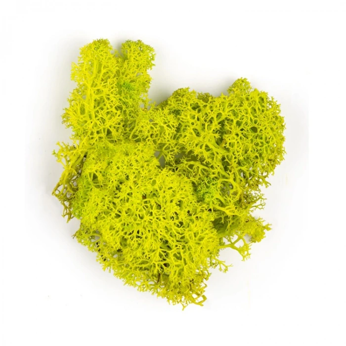 JORDANIA MAKET JE00-0501515 YOSUN ELMA YEŞİLİ 10gr.