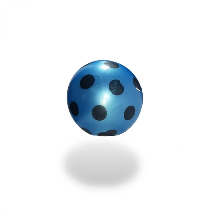 CAN SPORT PLASTİK TOP 3425