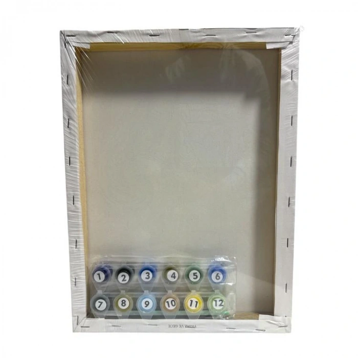 MİART MSB30420 30X40 SAYILARLA BOYAMA TUVAL - YILDIZLI GECE