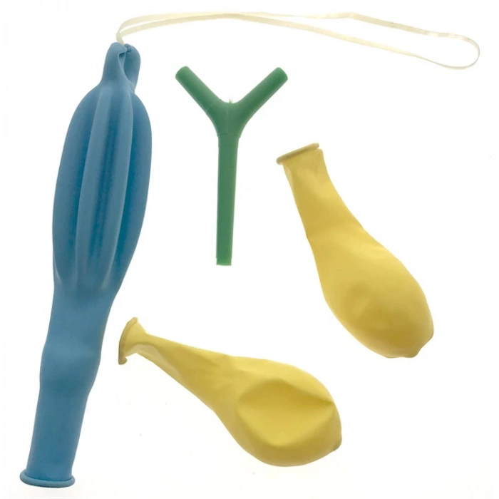 KAR AKCİĞER MODEL SETİ