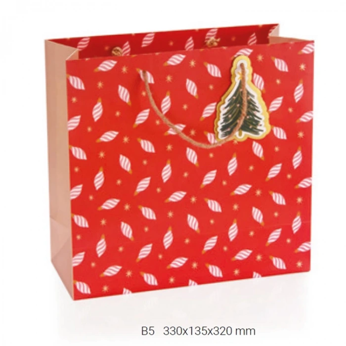 GIPTA B5 LİOR HEDİYELİK KARTON ÇANTA BG0178