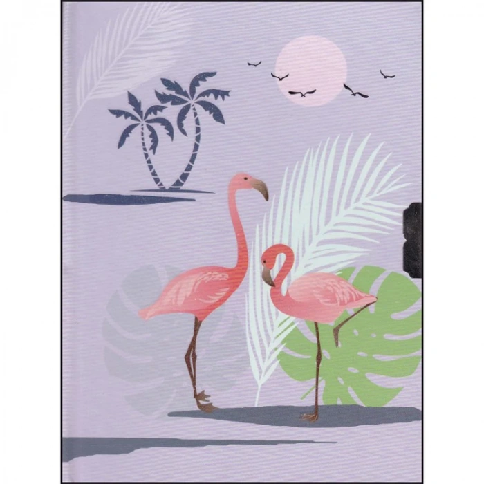 TAROS 3232 UNICK COLOR BÜYÜK BOY KUTULU HATIRA DEFTERİ