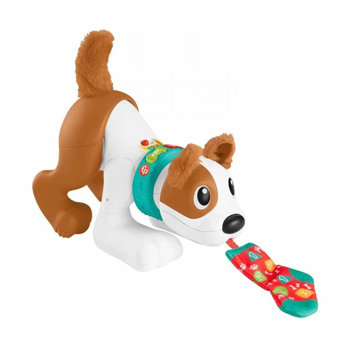FISHER PRICE MTL-HHH13 EMEKLEMEYİ VE SAYMAYI ÖĞRETEN KÖPEKÇİK
