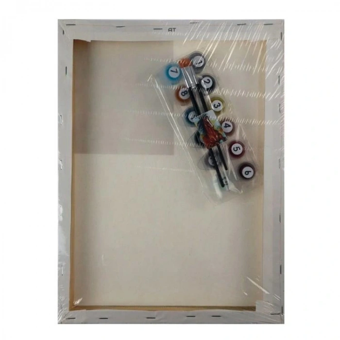 MİART 30X40 SAYILARLA BOYAMA TUVAL - AT