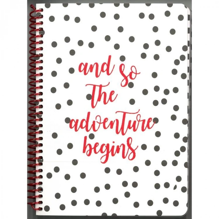 LİZ SPRA5 SPİRALLİ KARTON KAPAK A5 100YP 80gr. ÇİZGİLİ DEFTER