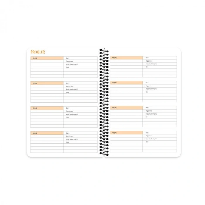 KESKİN HİSLİ ŞEYLER 15X21 SPİRALLİ AKADEMİK AJANDA  - HANGİ BİRİNE YETİŞEYİM 830216-99