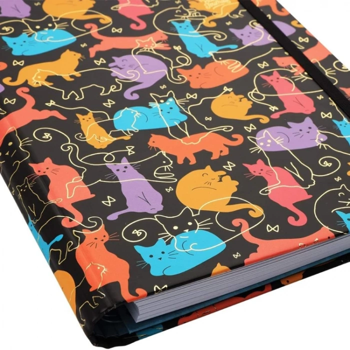 VICTORIAS JOURNALS 8695 KAWAII CATS 17X24cm GİZLİ SPİRALLİ SERT KAPAK ÇİZGİLİ DEFTER