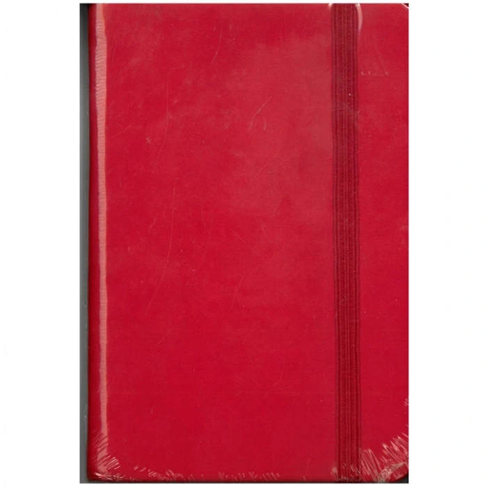 LİZY 10X14 RENKLİ THERMO EKONOMİK LASTİKLİ DEFTER