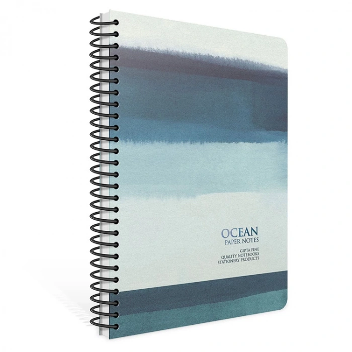 GIPTA PAPERNOTES SPİRALLİ SERT KAPAK 17x24 120YP.ÇİZGİLİ DEFTER