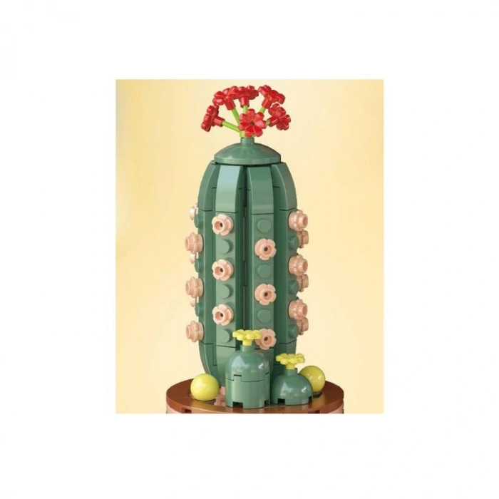 MEGA FLOWERS S13-2 KAKTÜS CACTACEAE 192 PARÇA 6+