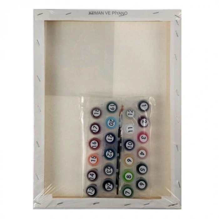 MİART 30X40 SAYILARLA BOYAMA TUVAL - KEMAN VE PİYANO