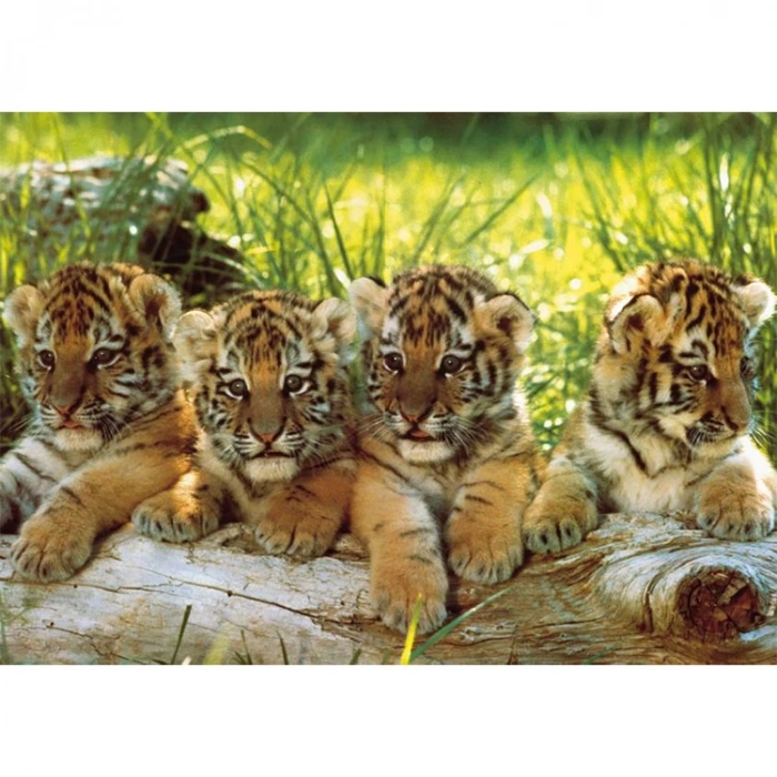KS GAMES 11325 FOUR TIGERS 48x34cm YAPBOZ/PUZZLE 200 PARÇA