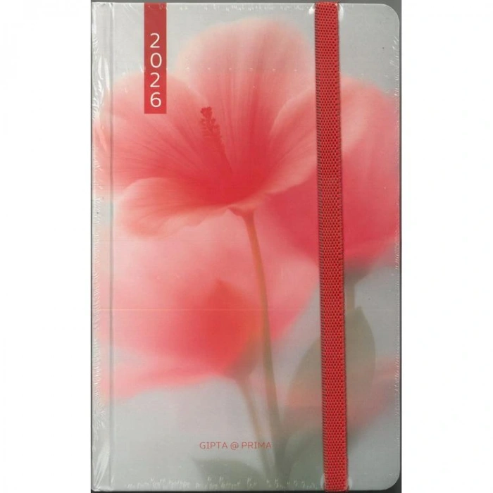 GIPTA139-RPK PRIMA 13X21 SERT KAPAK LASTİKLİ GÜNLÜK AJANDA