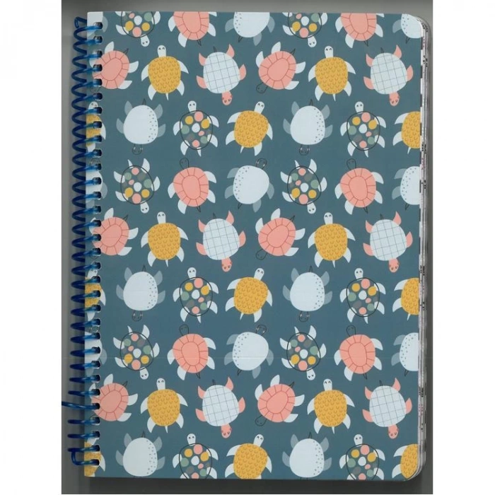 LİZ SPRA5 SPİRALLİ KARTON KAPAK A5 100YP 80gr. ÇİZGİLİ DEFTER