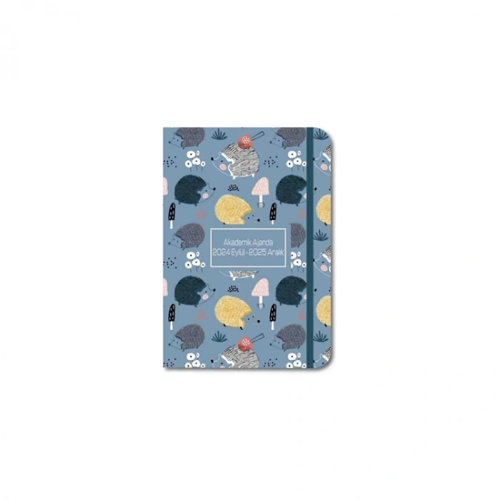 LİZ 17X24 KUŞE KAPAK AKADEMİK AJANDA LİZ-AJAKD