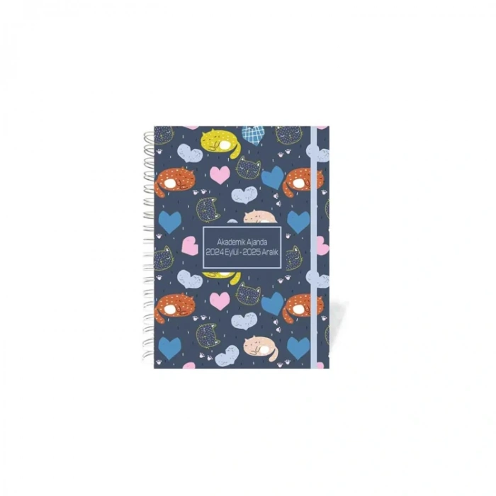 LİZ 17X24 SPİRALLI AKADEMİK AJANDA LİZ-AJAKDSP