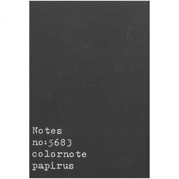 PAPİRÜS NOTES TERZİ DİKİŞ KARTON KAPAK 16X23 56YP. ÇİZGİLİ DEFTER