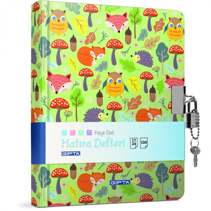 GIPTA KİLİTLİ İP DİKİŞLİ SERT KAPAK HATIRA DEFTERİ 17X24 120YP