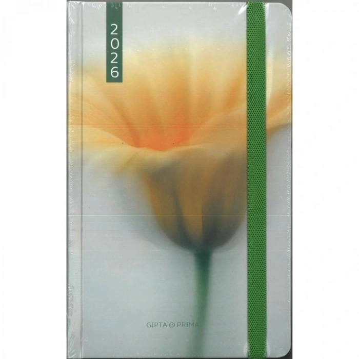 GIPTA139-RPK PRIMA 13X21 SERT KAPAK LASTİKLİ GÜNLÜK AJANDA