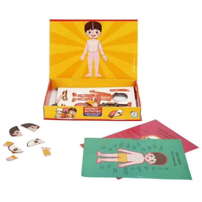 LAÇO KIDS LC7986 MANYETİK AKTİVİTE İNSAN ANATOMİSİ 72 PARÇA 3+