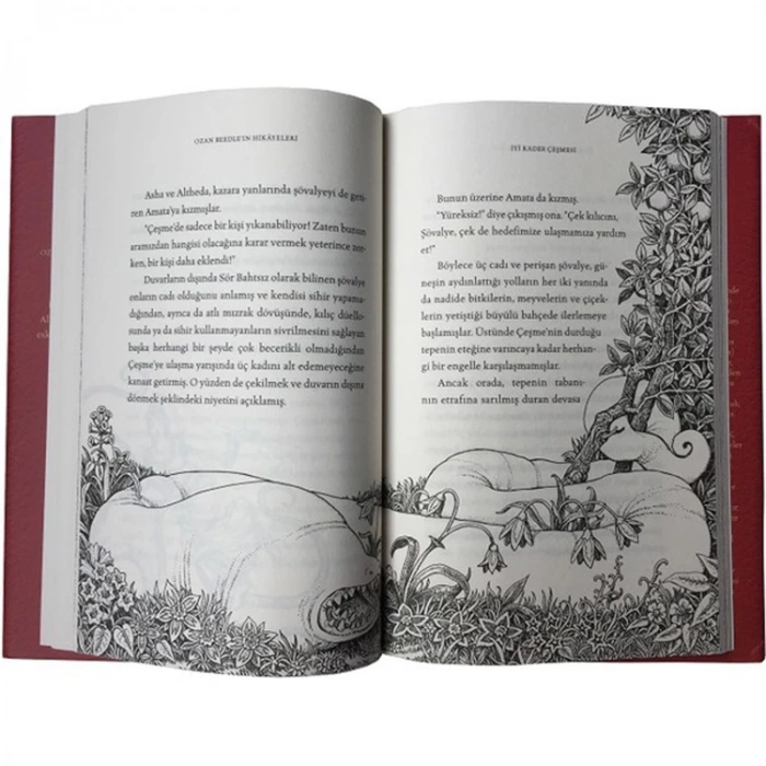 OZAN BEEDLEİN HİKAYELERİ