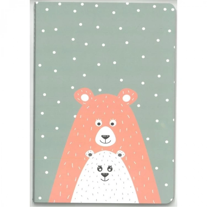 LİZ TDA5L İPLİK DİKİŞLİ KARTON KAPAK A5 50YP. ÇİZGİLİ DEFTER