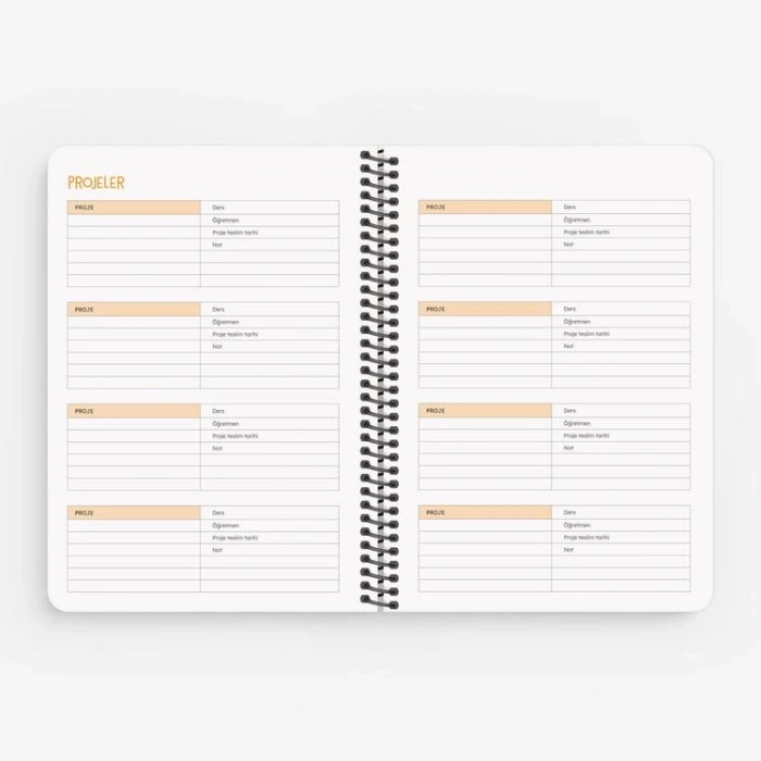 KESKİN HİSLİ ŞEYLER 15X21 SPİRALLİ AKADEMİK AJANDA  - BAŞTA BİRAZ SIKILDIM 830217-99