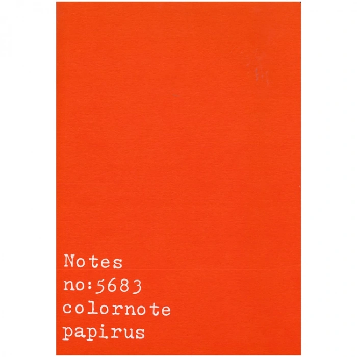 PAPİRÜS NOTES TERZİ DİKİŞ KARTON KAPAK 16X23 56YP. ÇİZGİSİZ DEFTER