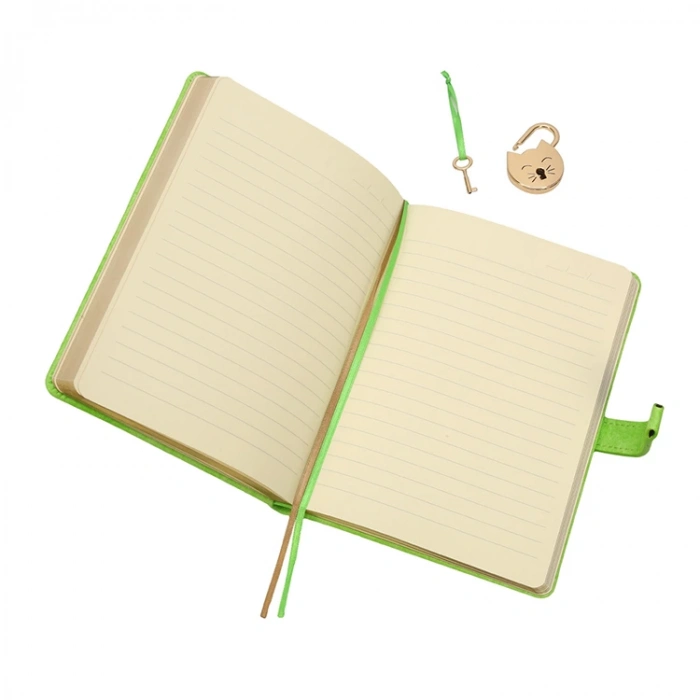 VICTORIAS JOURNALS 1032 13x18cm 80gr.160YP. MİYAW KUTULU KİLİTLİ ÇİZGİLİ DEFTER PASTEL YEŞİL