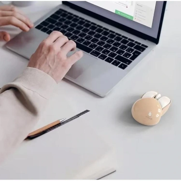 FANIX MOU-6003-K PLAYROB M6 PİLLİ KABLOSUZ MOUSE KREM TAVŞAN