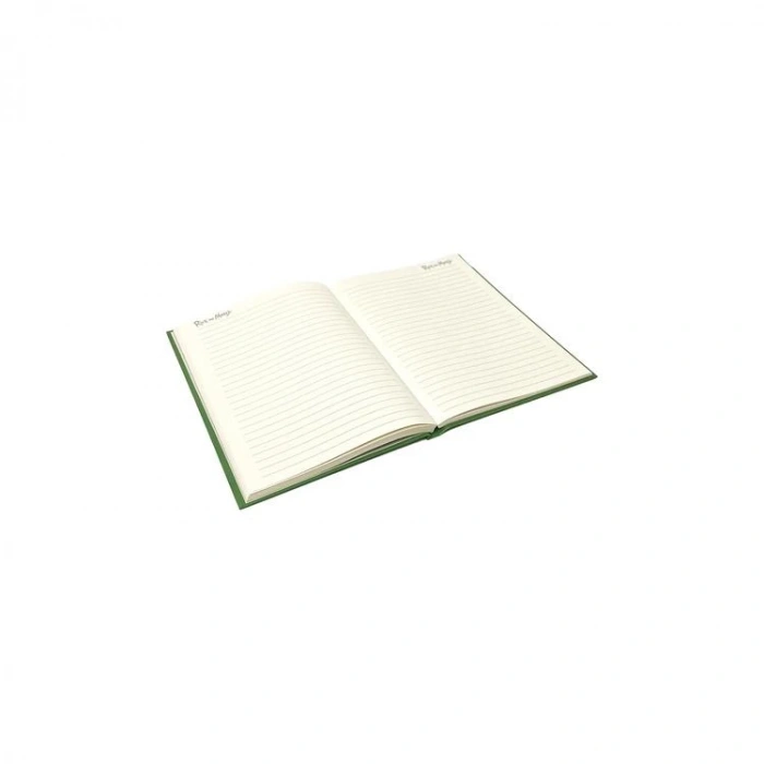 MACMUG YPK-381386 RICK&MORTY FOCUS ON SCIENCE SERT KAPAK 96 YP ÇİZGİLİ DEFTER