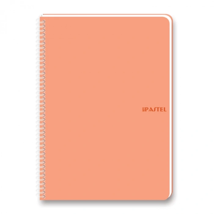 KESKİN 17X24 PASTEL NOTE SPİRALLİ PP KAPAK DEFTER 100 YP. ÇİZGİLİ