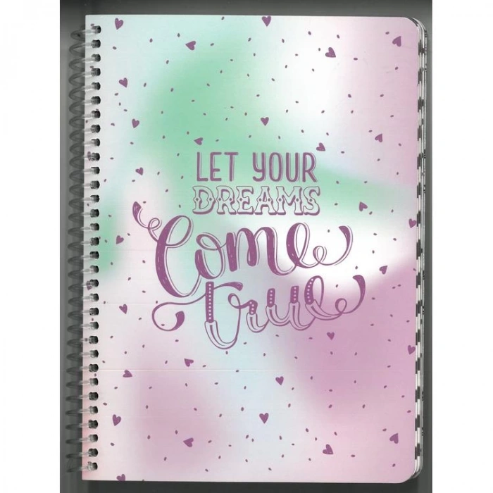 LİZ SPRA5 SPİRALLİ KARTON KAPAK A5 100YP 80gr. ÇİZGİLİ DEFTER