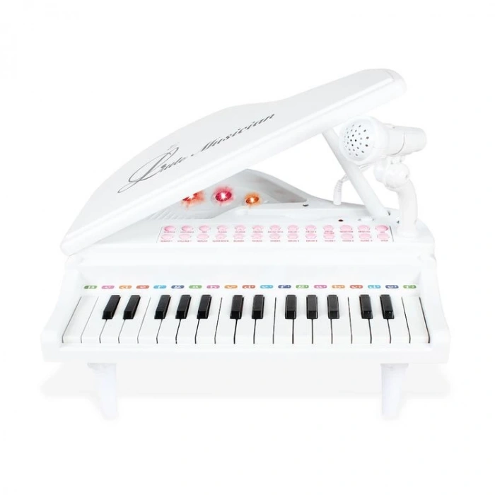 VARDEM 1504B BEAUTIFUL MELODY 31 TUŞ MİKROFON+MP3 ÇALAR PİYANO ORTA BOY