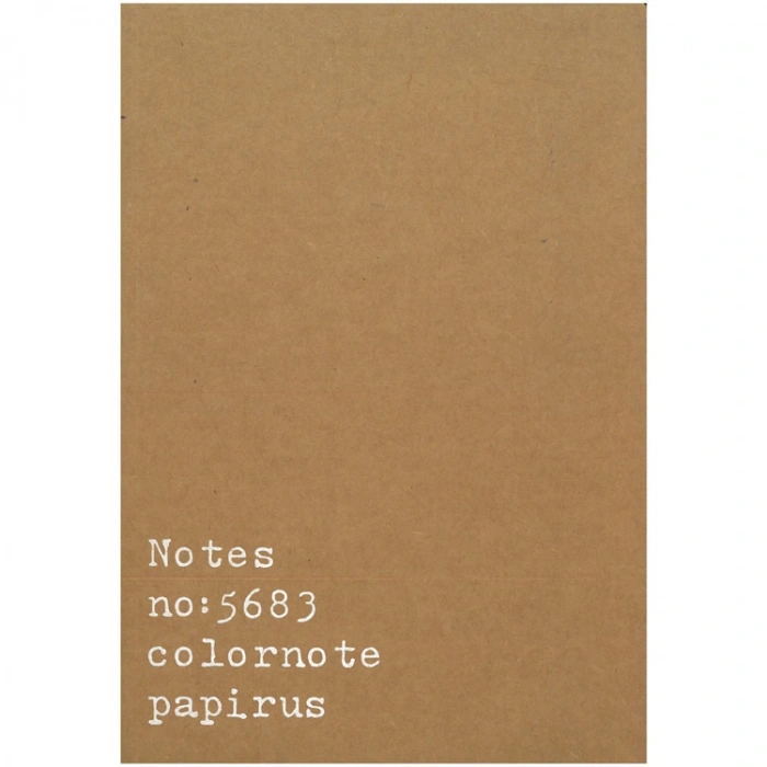 PAPİRÜS NOTES TERZİ DİKİŞ KARTON KAPAK 16X23 56YP. NOKTALI DEFTER