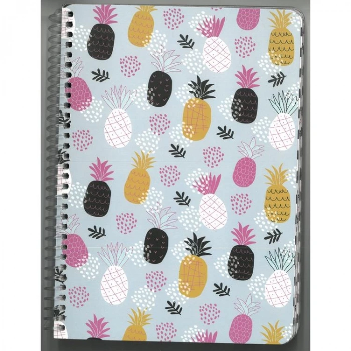 LİZ SPRA5 SPİRALLİ KARTON KAPAK A5 100YP 80gr. ÇİZGİLİ DEFTER