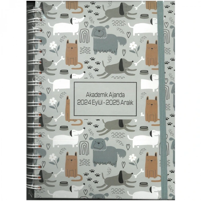 LİZ 17X24 SPİRALLI AKADEMİK AJANDA LİZ-AJAKDSP