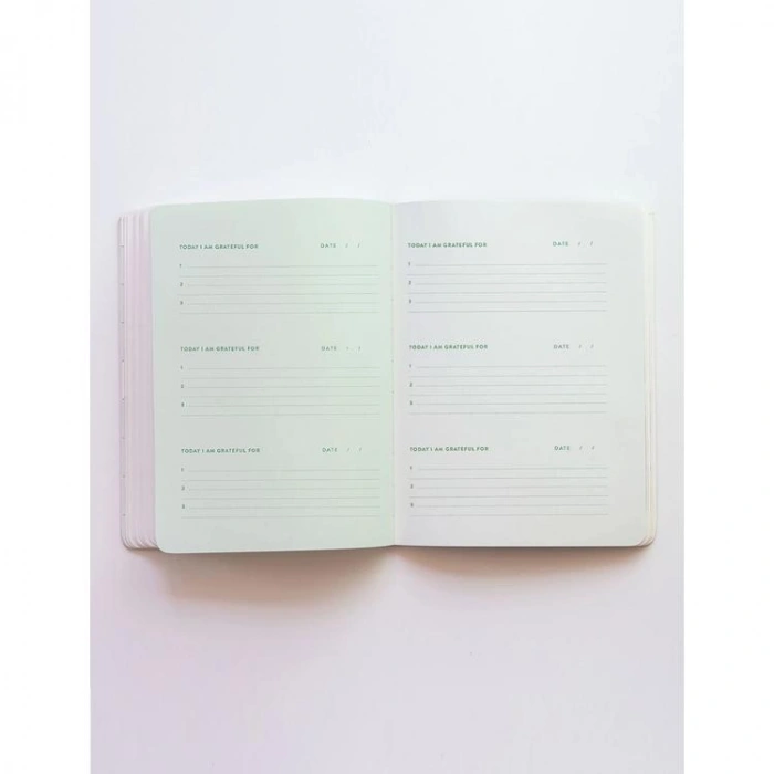 DEFFTER FABOOKS SERT KAPAK LASTİKLİ BLUSH ŞÜKÜR GÜNLÜĞÜ