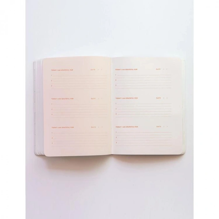 DEFFTER FABOOKS SERT KAPAK LASTİKLİ BLUSH ŞÜKÜR GÜNLÜĞÜ