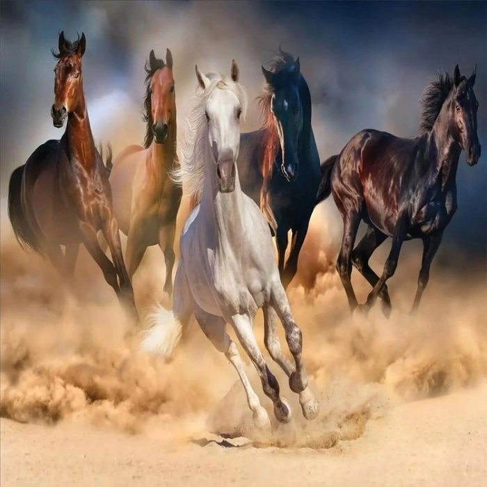 KS GAMES 20769 WILD HORSES 68x48cm YAPBOZ/PUZZLE 1000 PARÇA