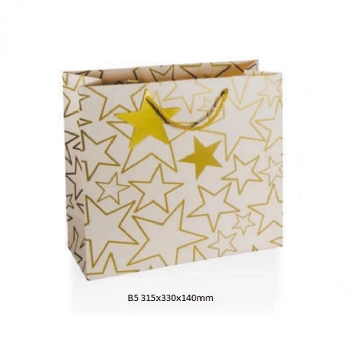 GIPTA B5 LUMOS HEDİYELİK KARTON ÇANTA BG3343