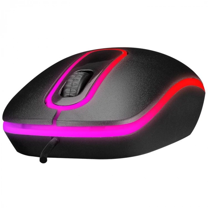 EVEREST SM-166 USB IŞIKLI OPTİK KABLOLU MOUSE  SİYAH