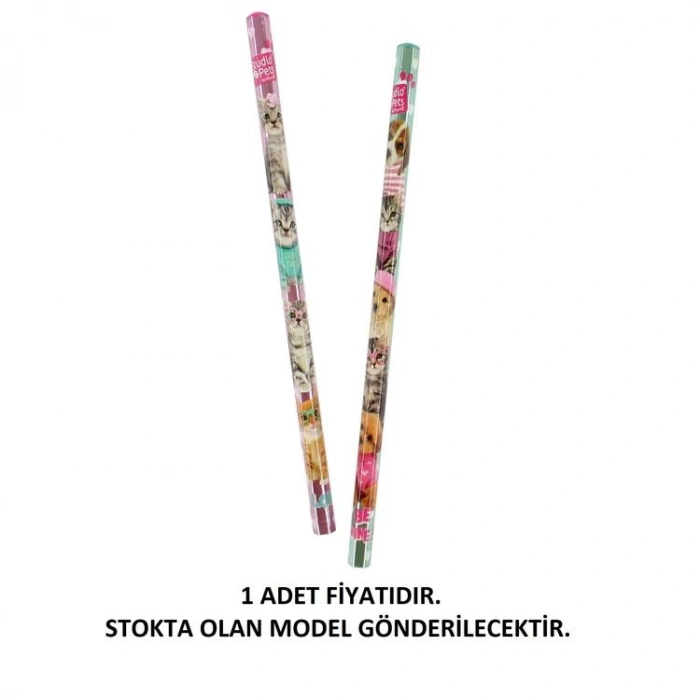 CEM STUDIO PETS  PT-6372  KURŞUN KALEM