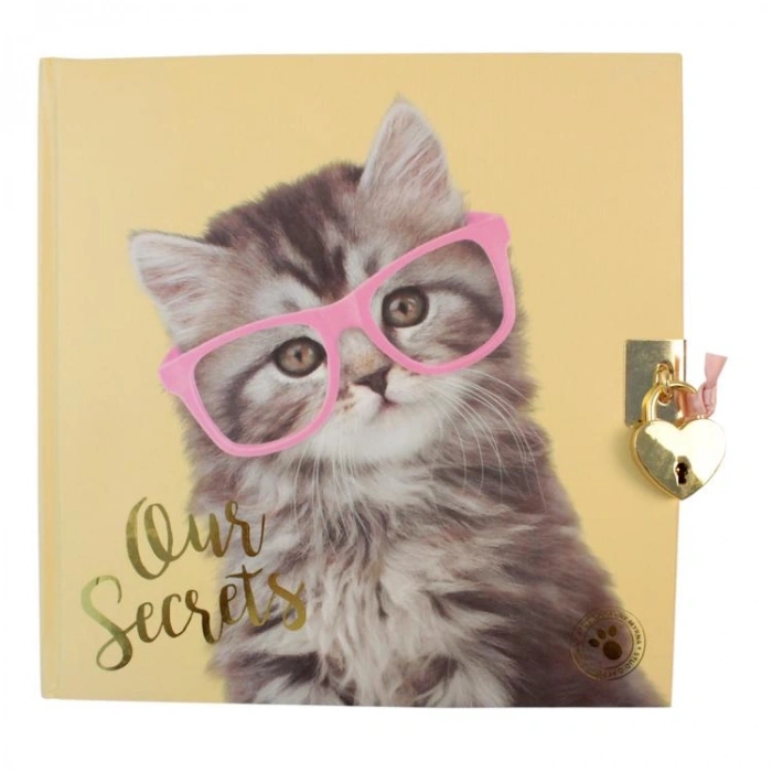 CEM STUDIO PETS PT-7790 18X18cm ÇİZGİLİ KİLİTLİ HATIRA DEFTERİ